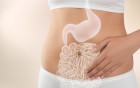 Frau berührt Bauch mit eingeblendeten Organen.